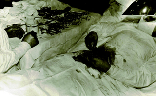 Illustration for article titled A Soviet Doctor Stranded in Antarctica Had to Cut Out His Own Appendix